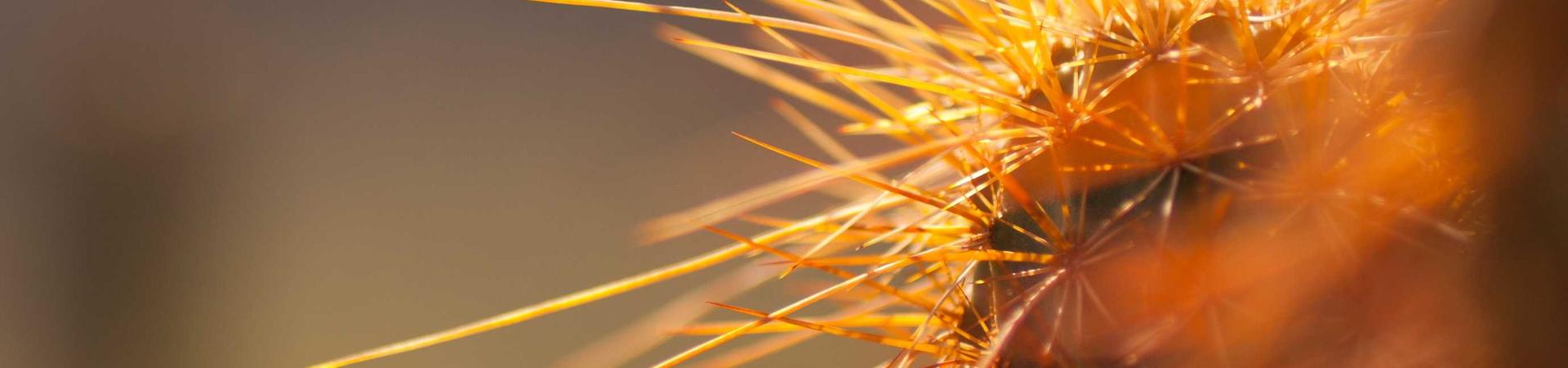 嘉祥县顺利石雕加工厂 &middot; 景德镇服务中心